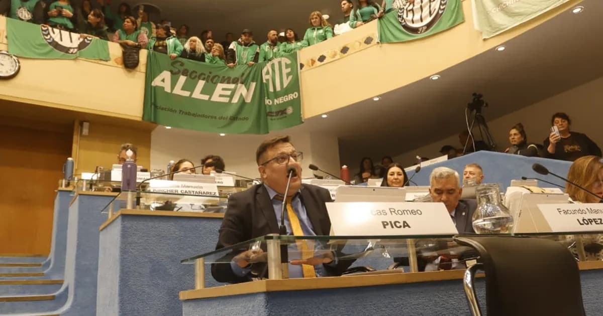 La Legislatura rionegrina aprobó el pase a planta de más de 4.000 contratados