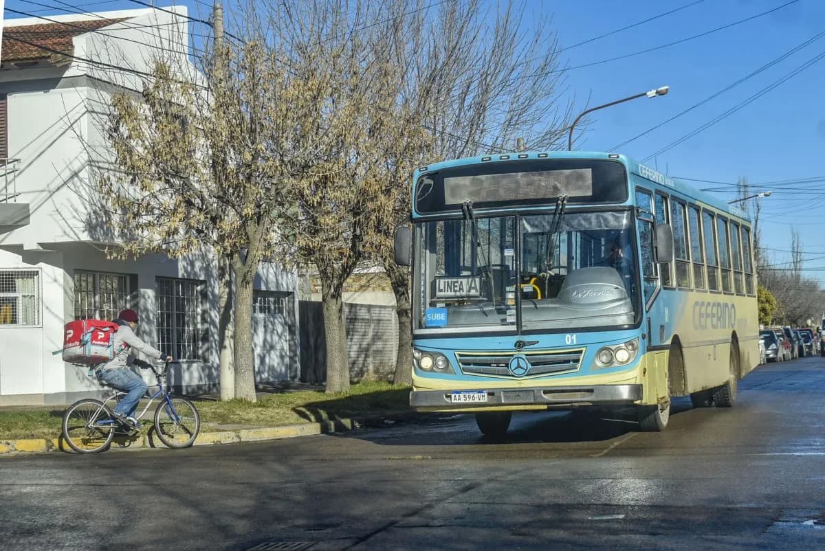 Boleto de colectivo en Viedma: el Municipio subsidiará a las empresas para no aumentar la tarifa