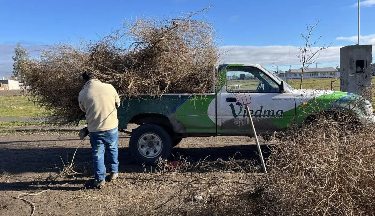 Viedma: operativo de limpieza y mantenimiento en el barrio Ceferino