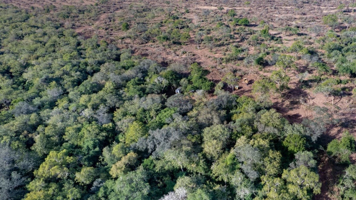 El PJ-Nuevo Encuentro rechazó en Río Negro el proyecto nacional que modifica la Ley de Tierras