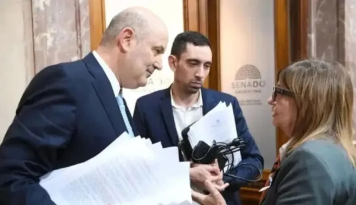 Ley de Tierras: el oficialismo propone subir de 15% a 25% el límite de venta a extranjeros