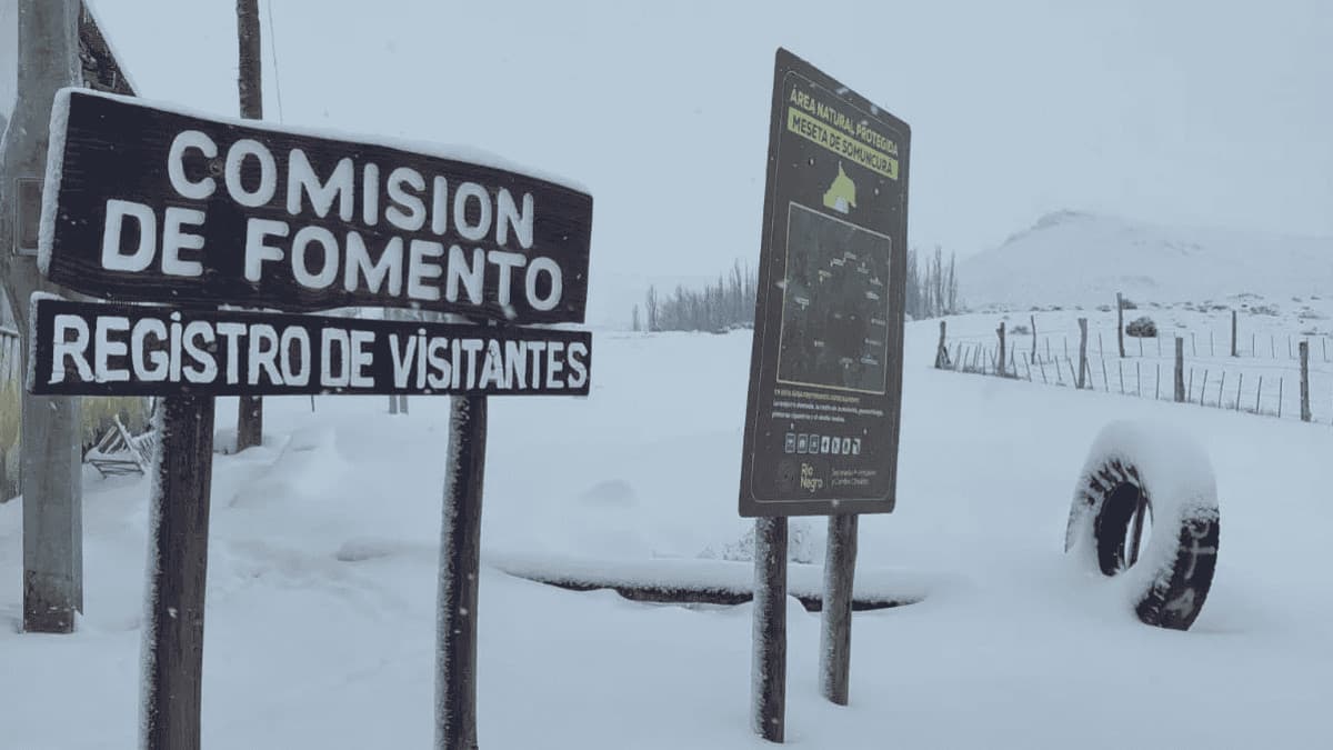 Un punto SOS de ALTEC permitió rescatar a un poblador accidentado en una ruta rionegrina