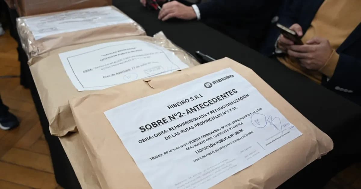Cinco empresas se presentaron para repavimentar la ruta al aeropuerto de Viedma