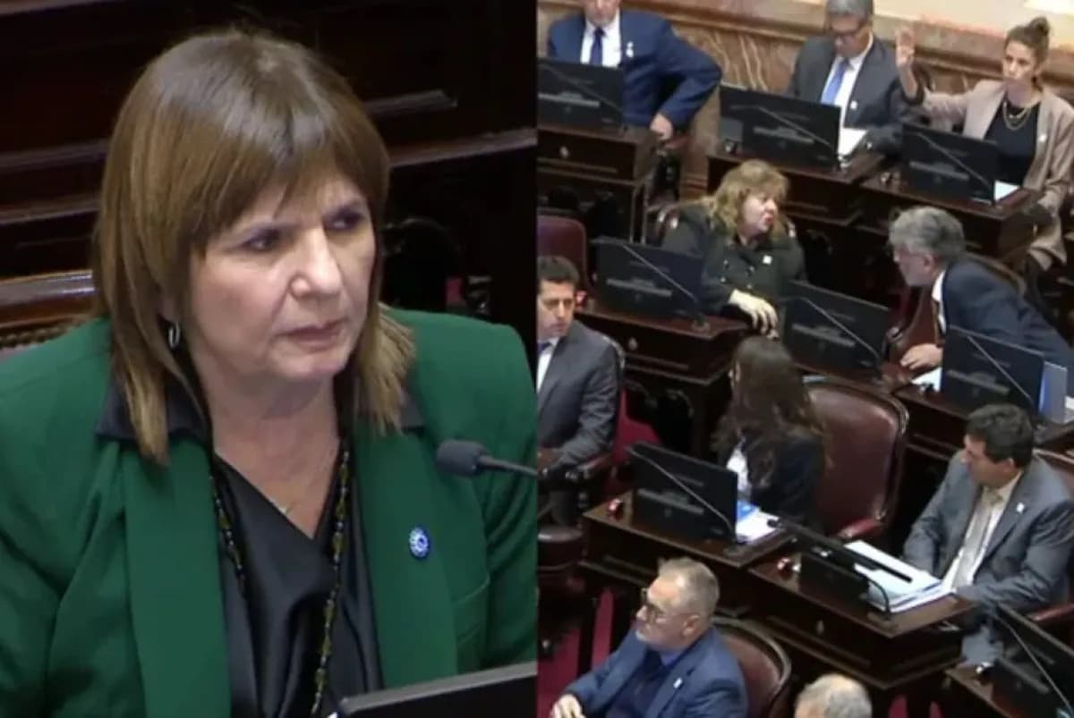 El Senado le negó el voto virtual a Fernández Sagasti pese a su embarazo de riesgo