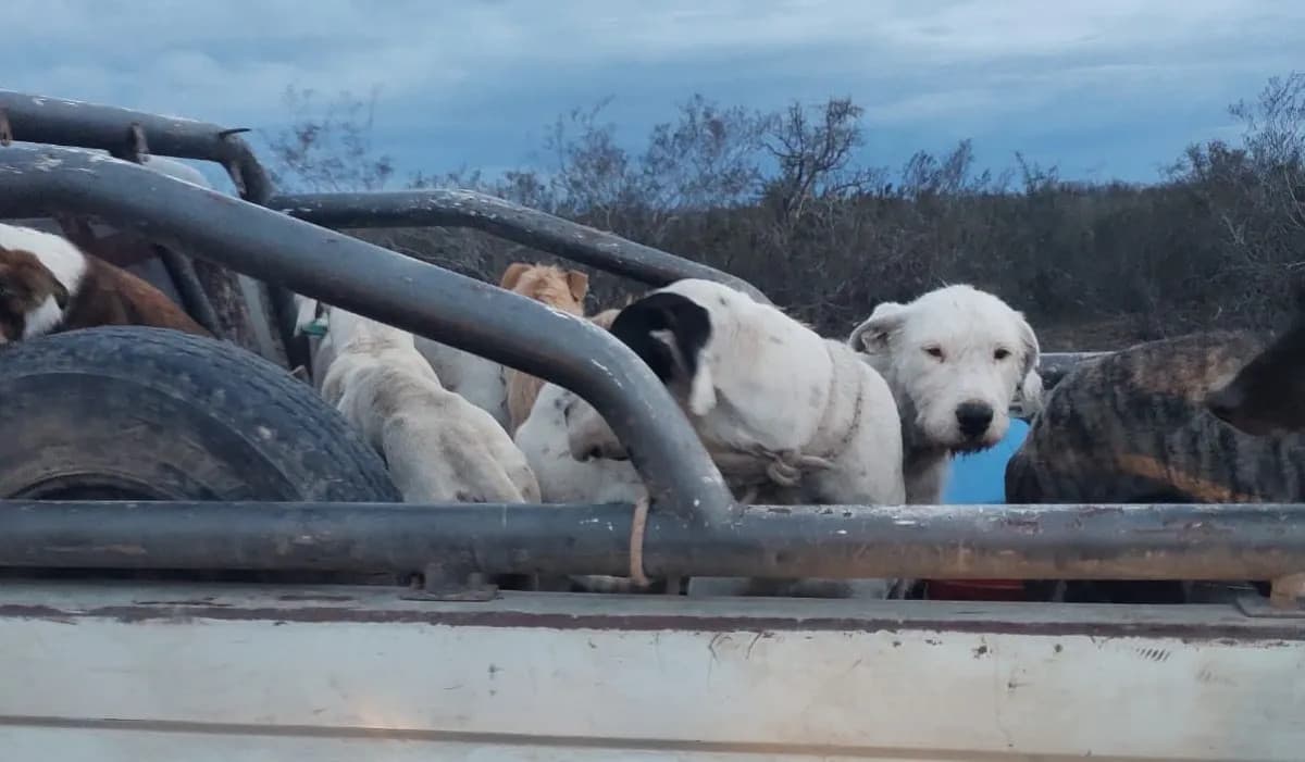 Operativo de la Brigada Rural detectó 11 infracciones a cazadores en General Conesa