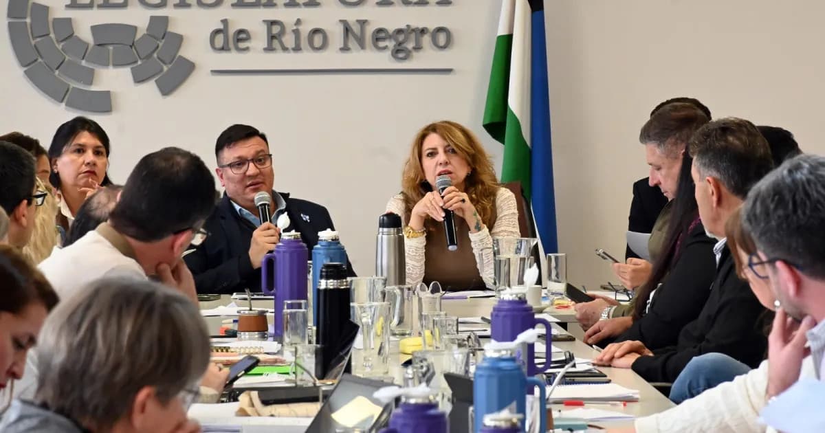 La Legislatura de Río Negro avaló pase a planta permanente y nuevas tasas para Comisiones de Fomento
