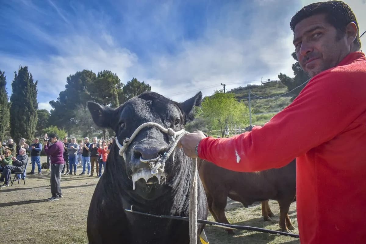 Gerlinger, optimista: "podría ser uno de los mejores años" para el campo en Patagones