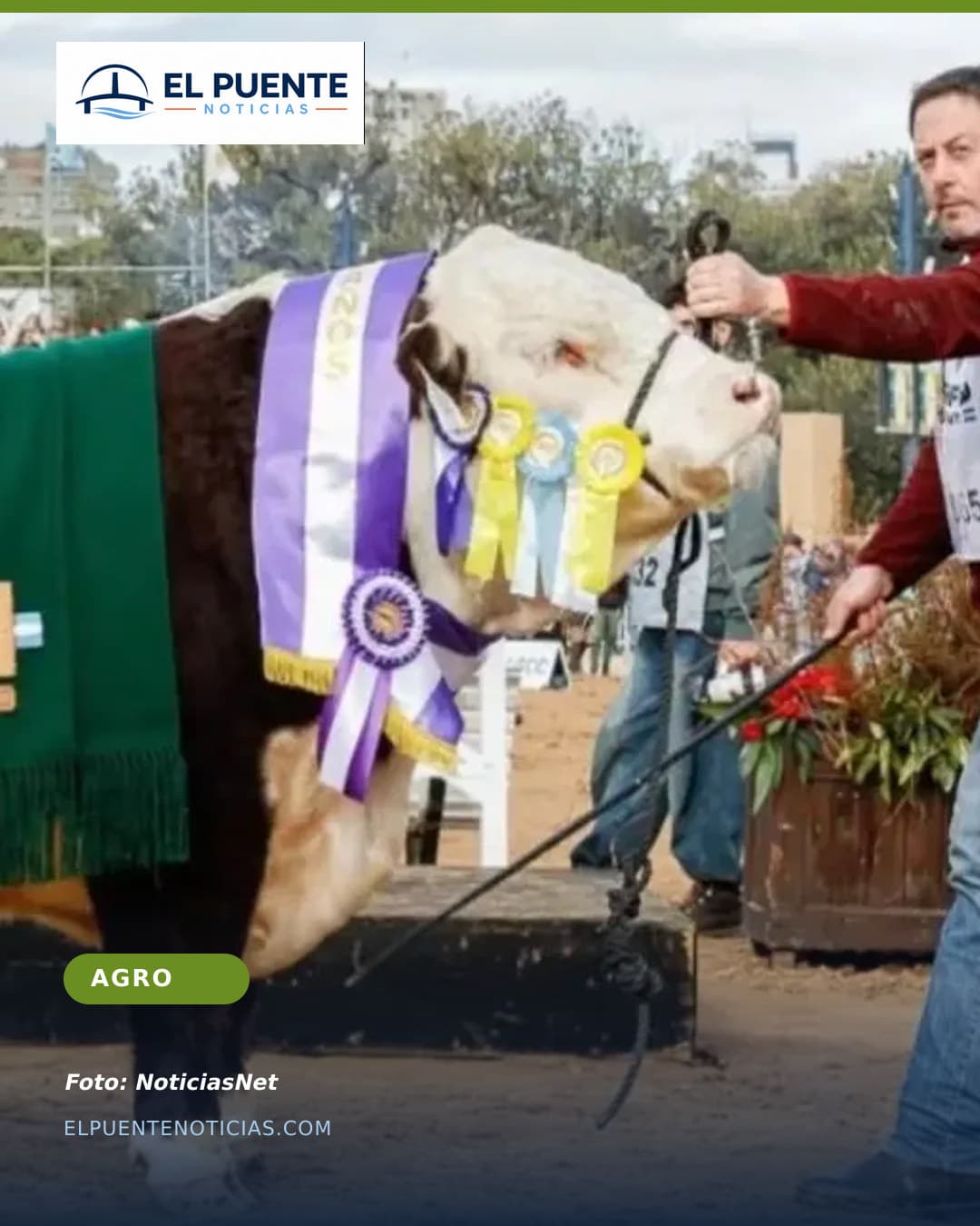 La Txapela de Patagones brilló en Palermo con el Reservado Gran Campeón Hereford