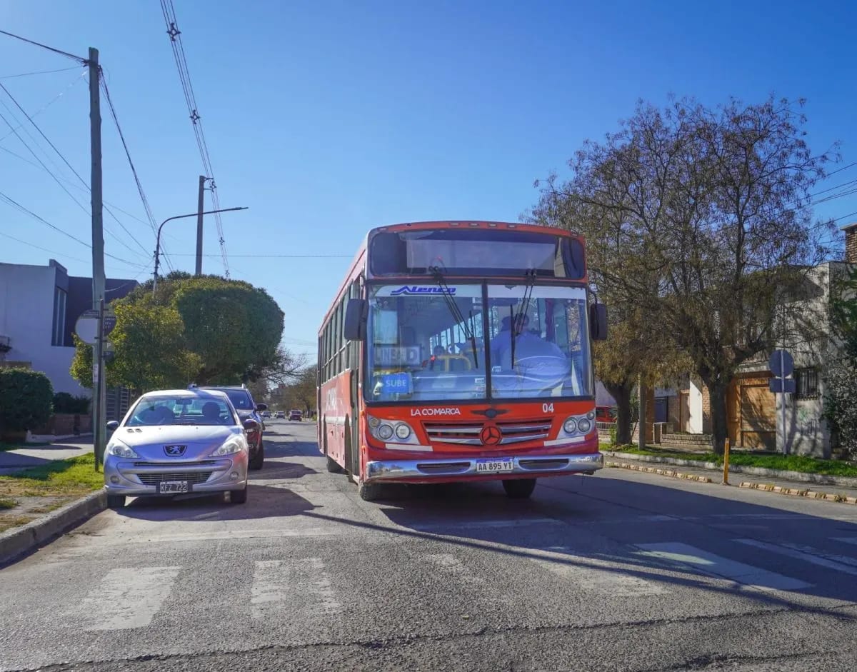 Viedma evalúa reformar el sistema de colectivos urbanos