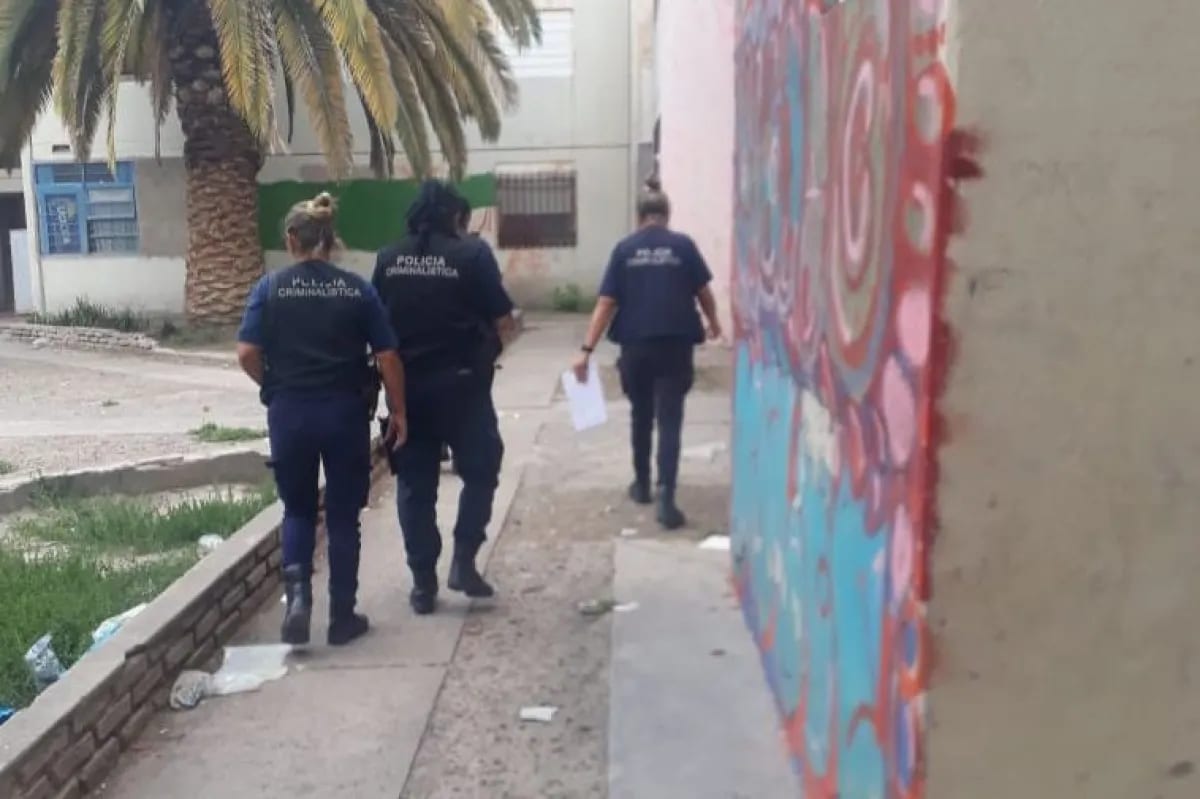 Detuvieron en Viedma a una mujer requerida por la justicia de Bahía Blanca