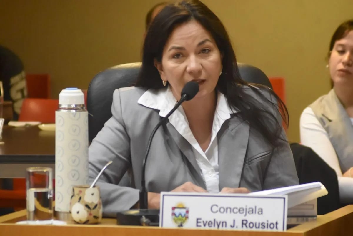 Rousiot defendió la reforma del Ipross y cuestionó el ajuste en Anses