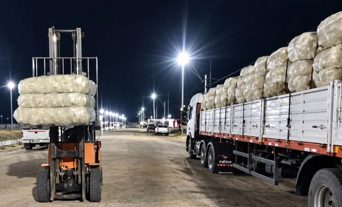 Senasa certificó la primera exportación de lana de Río Negro a Uruguay
