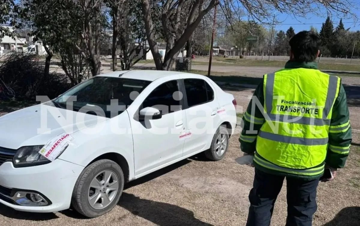 Río Negro: secuestraron un taxi y colectivos sin RTO en operativos viales