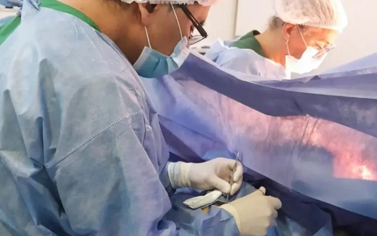 Cipolletti: un operativo de donación permitirá dos trasplantes renales