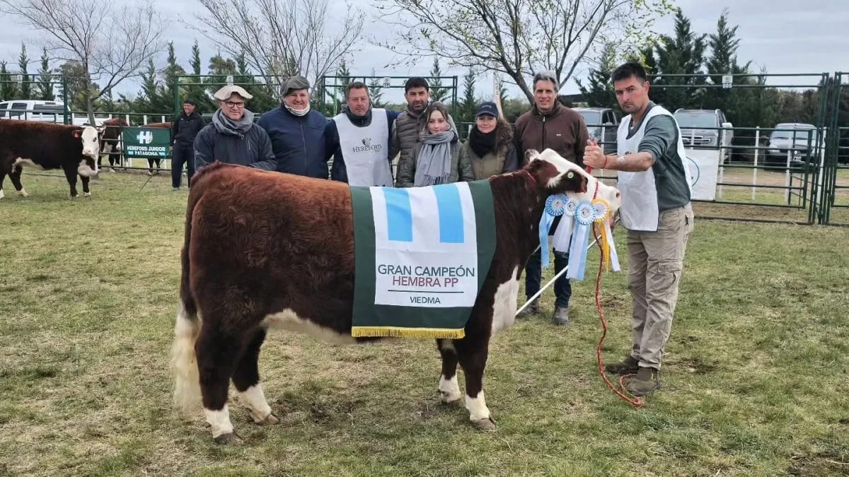 La cabaña La Txapela de Patagones ganó grandes premios en la Expo Rural de la Comarca