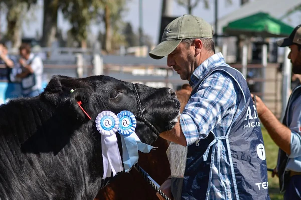 Ballerini destacó el crecimiento genético de la ganadería rionegrina en la Expo de Conesa