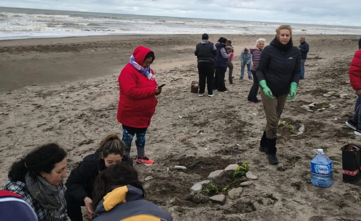 Vecinos de El Cóndor plantaron tamariscos para frenar el avance de la arena