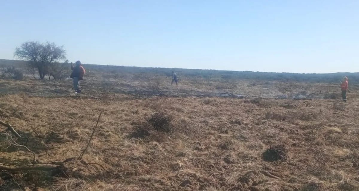 Incendio en un campo cerca de Patagones movilizó a Bomberos Voluntarios