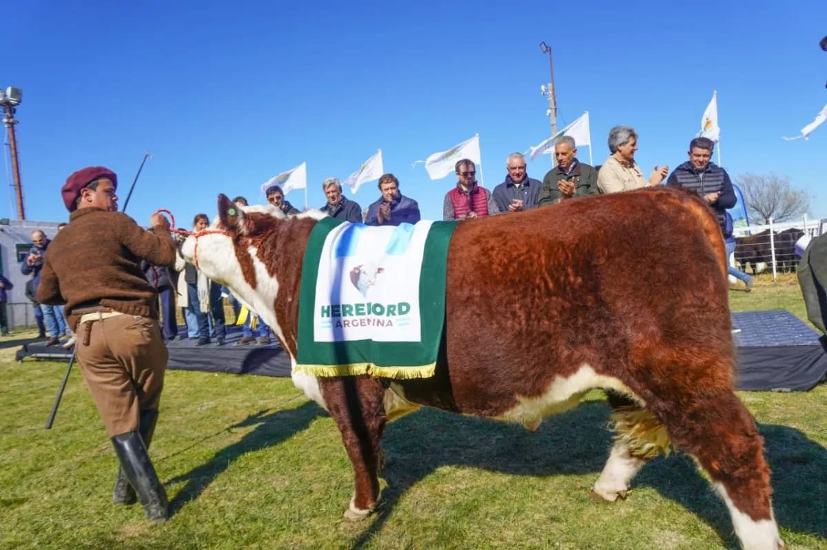 Weretilneck anunció financiamiento de $3.000 millones para el agro y destacó récord ganadero