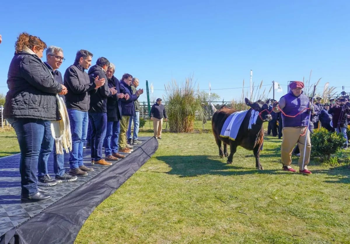 Expo Ganadera: los campeones del paseo de honor en Angus y Hereford